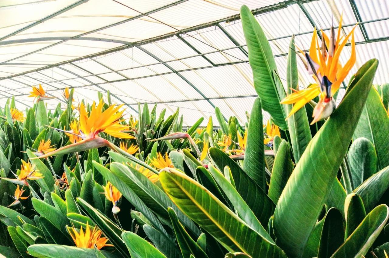 La Vite Maritata Agroturismo *
